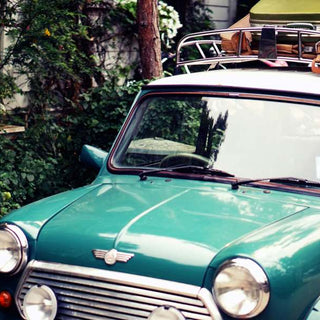 girls sleeping in backseat of car with a SLOODIE