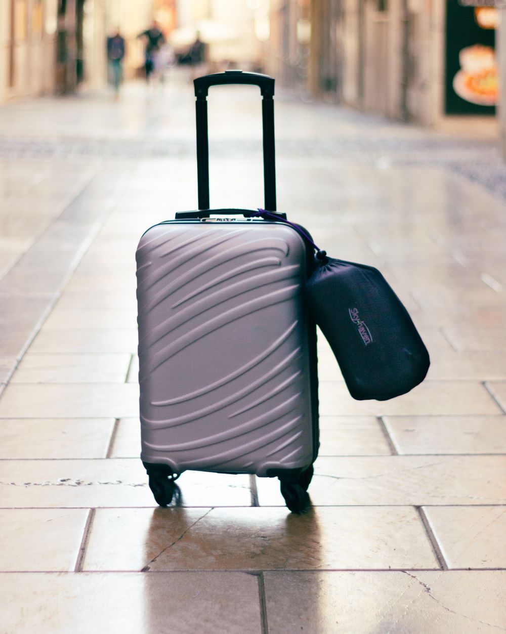 Sloodie tied to a carry on bag in the street