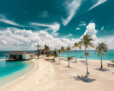 beautiful beach seen with palm trees and a boat and cabin